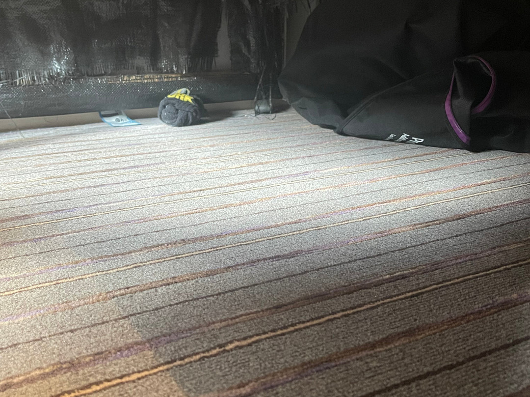 普瑞米尔哈洛酒店主图