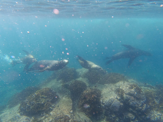 Desértica Baja Sur-拉巴斯必去景点