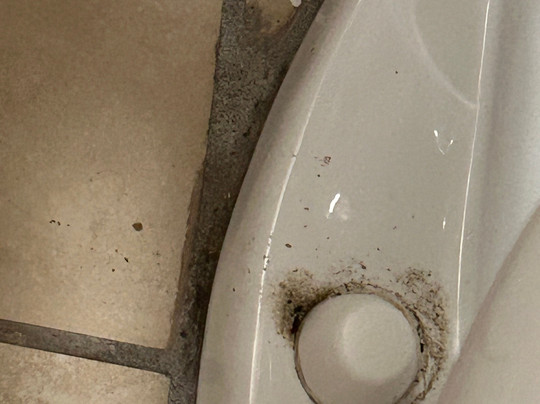 Quality Inn I-81 Exit 23主图