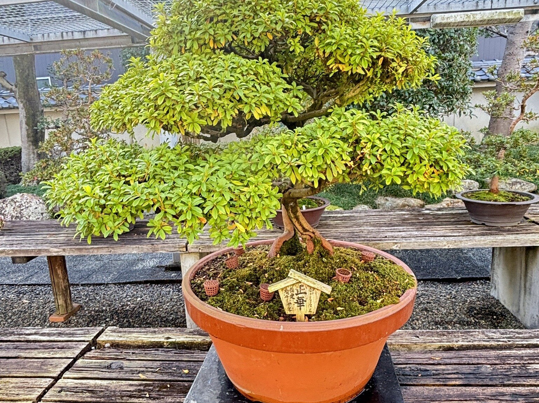 Ogaki City Folk Museum-大垣市必去景点