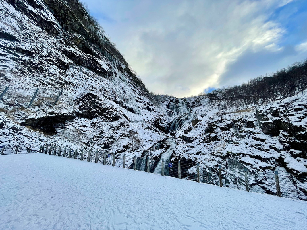 Kjosfossen Waterfall-Myrdal必去景点