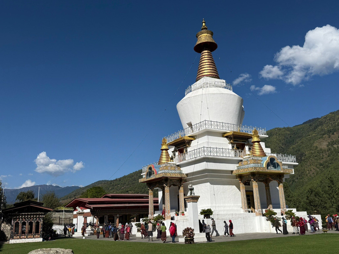 Mahlatini Luxury Travel-Rondebosch必去景点