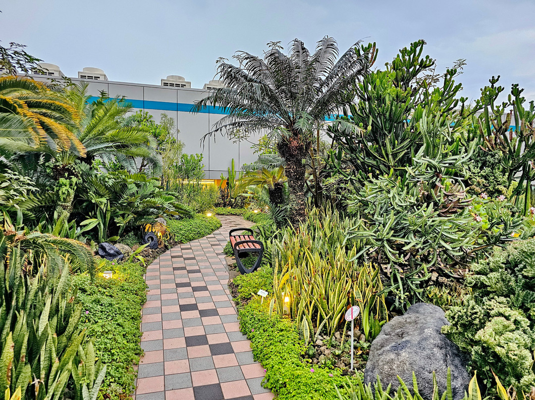 Cactus Garden-新加坡必去景点