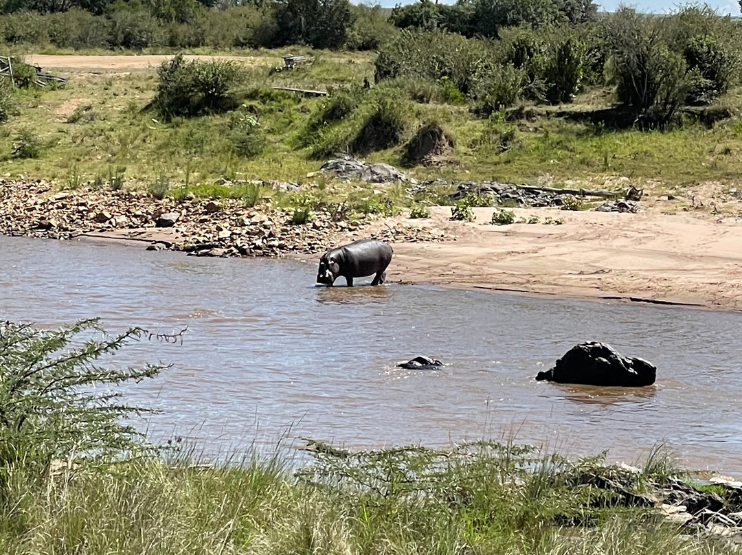 Endless Thrill Adventures-内罗毕必去景点