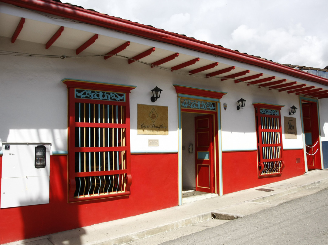 Casa Passiflora Hotel Boutique主图