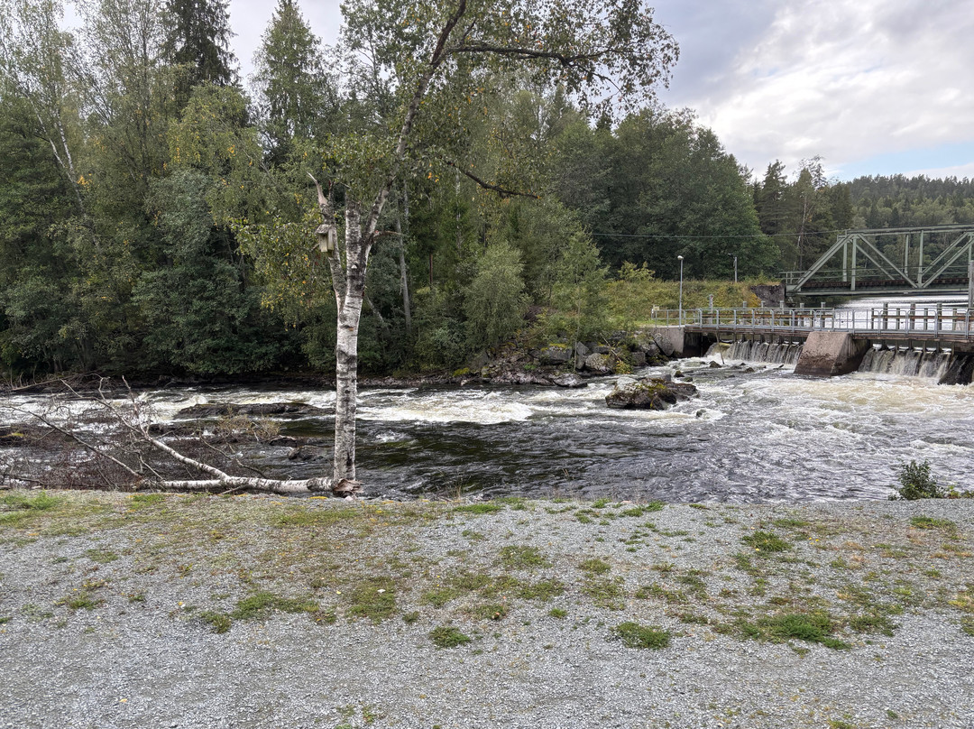 Höljerudsforsarna Naturreservat
