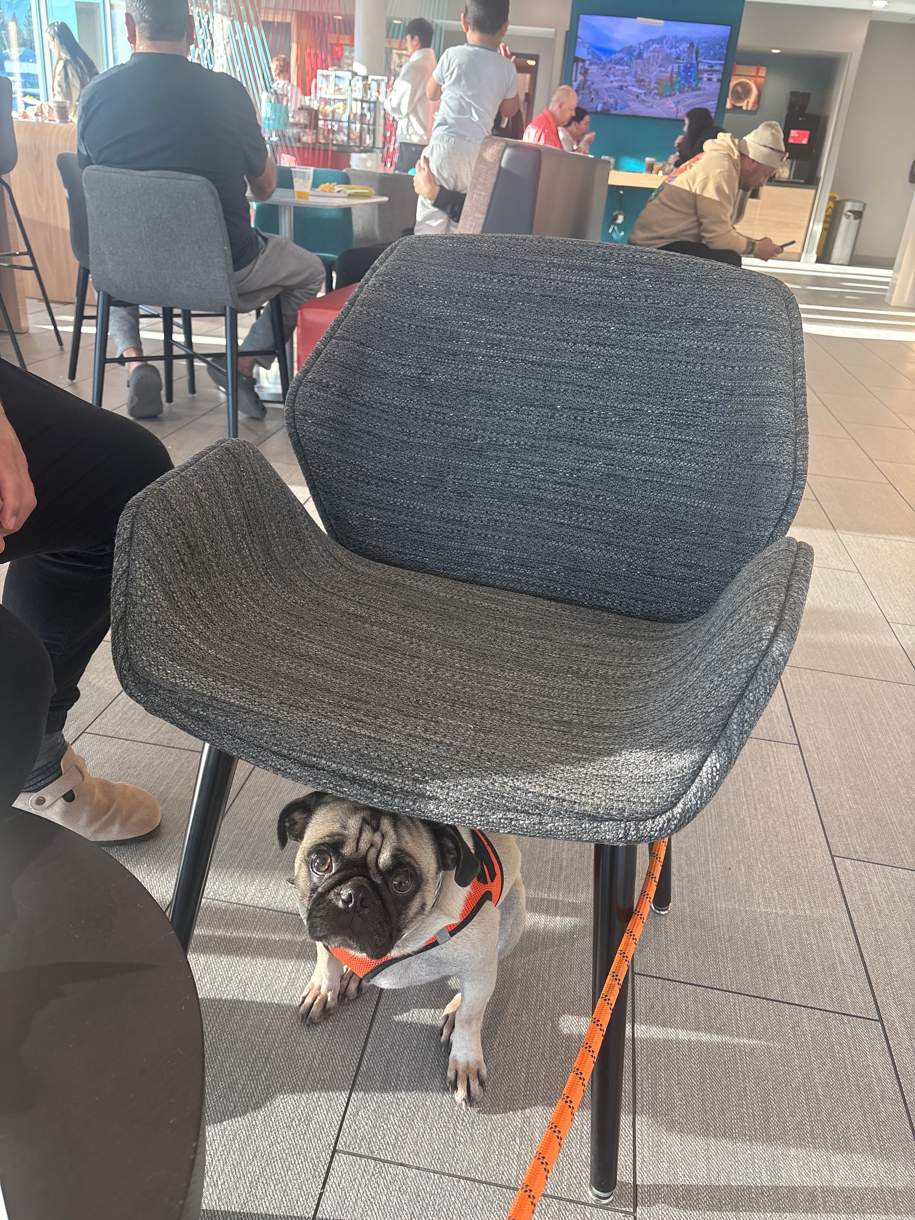 Avid Hotel Wenatchee By Ihg-官方