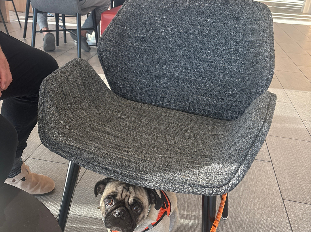 Avid Hotel Wenatchee By Ihg主图