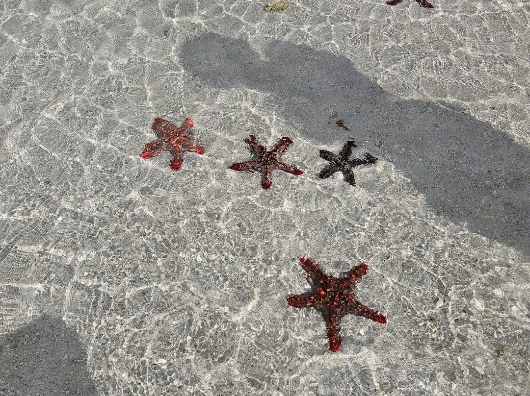 Omar Safari Kenya-瓦塔木必去景点