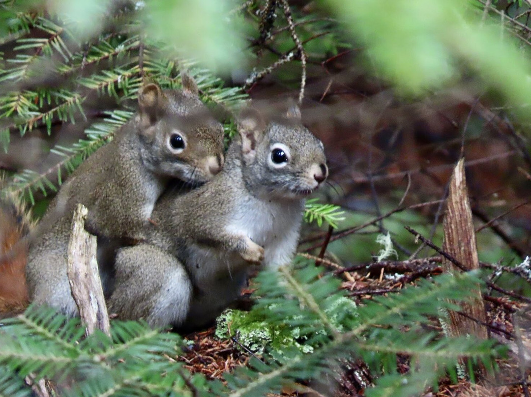 Fort Point State Park-Stockton Springs必去景点