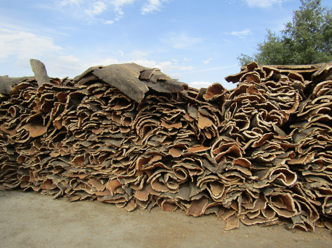 Corticarte - Arte em Cortica-Azaruja必去景点