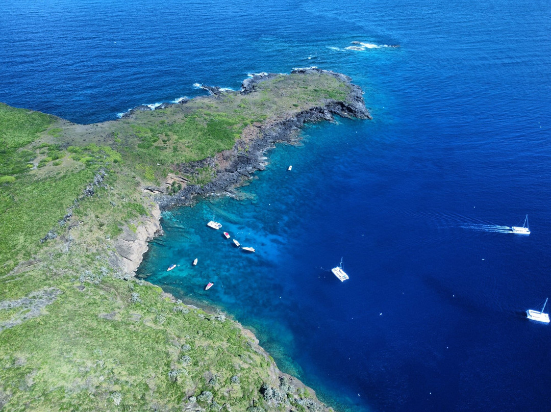 Coral Belle Catamaran Cruises-大湾必去景点