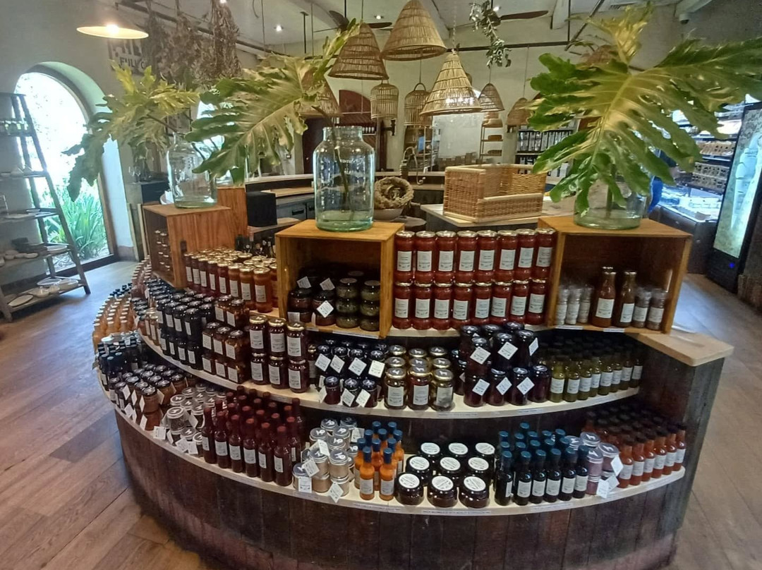 Cape To Grape Wine Tours-Rawsonville必去景点