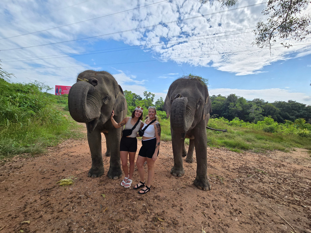 The Lake Phuket Elephant Home-Thep Krasatti必去景点