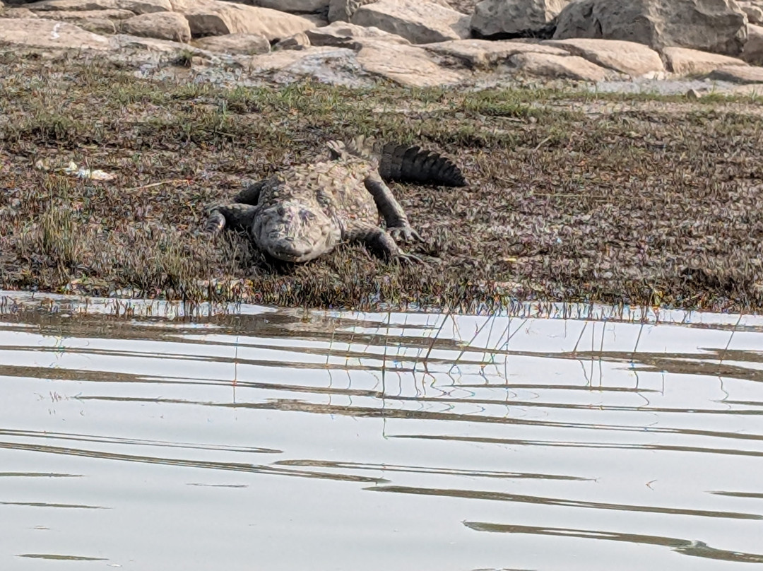 Khandela旅游景点-National Chambal Sanctuary