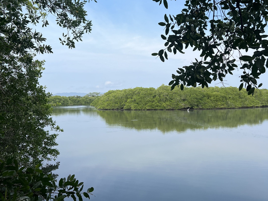 Santuario de Cocodrilos El Cora-Bucerias必去景点