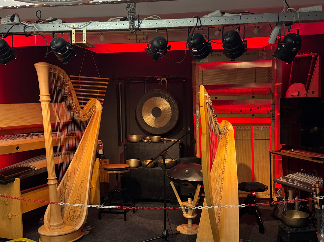 Luc Vanlaere Harpist - Harp Museum-布鲁日必去景点