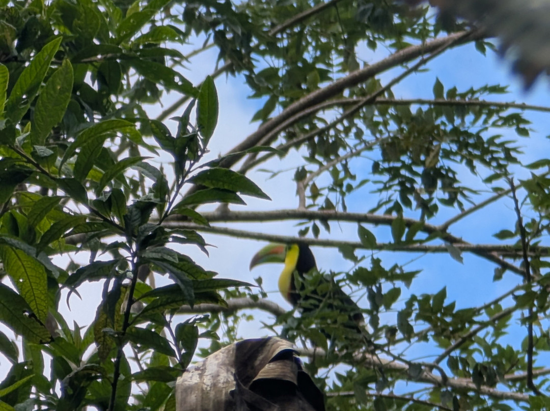 Brother's Adventures Tours-萨迪纳尔必去景点