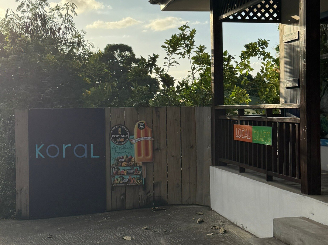 Koral Souvenir Boutique-博瓦隆必去景点