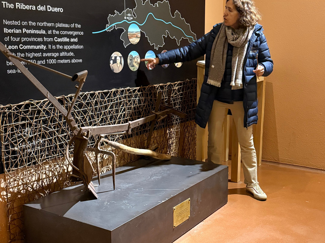 Bodegas Emilio Moro-Pesquera de Duero必去景点