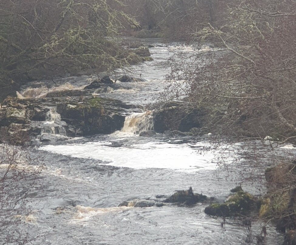 Falls of Shin-Lairg必去景点