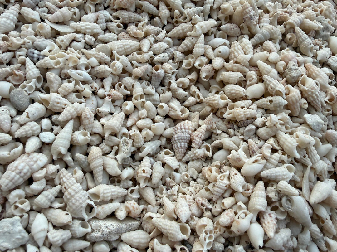 Doha Tourism-多哈必去景点