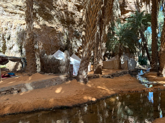 Desert Train Adventures-诺克少必去景点