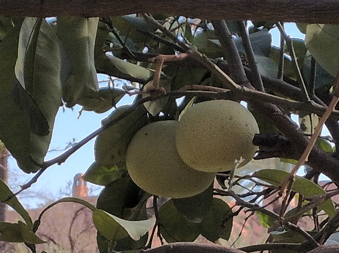 阿塞特‧穆莱‧阿布德斯兰数码公园-马拉喀什必去景点