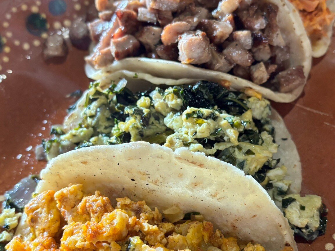 Cenote La Noria-从莫雷洛斯港必去景点