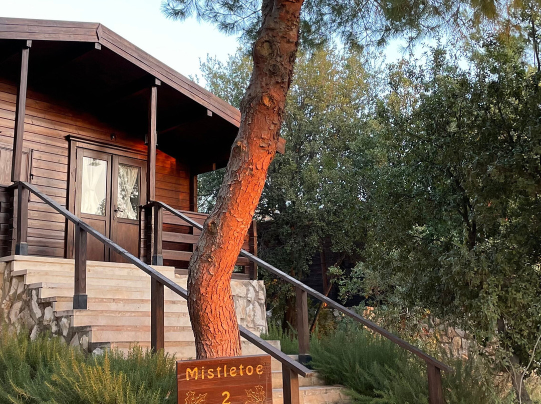 Mountain Breeze Lodge & Resort主图