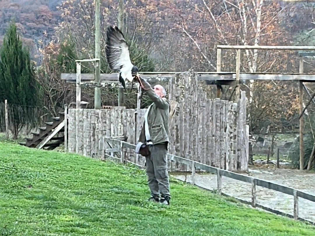 Parc aux Rapaces - Fauconnerie Marche - Madiran-Saint-Lanne必去景点