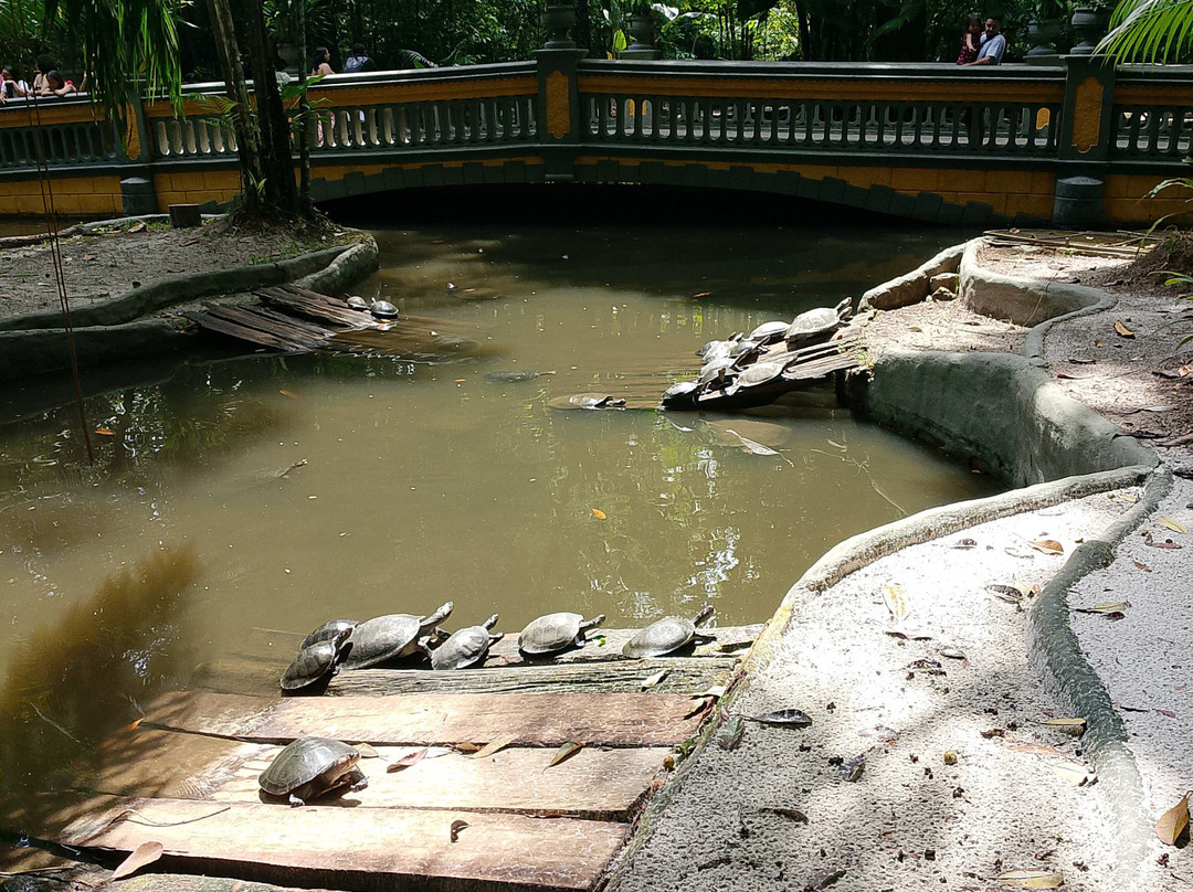 Bosque Rodrigues Alves - Jardim Botanico da Amazonia-贝伦必去景点