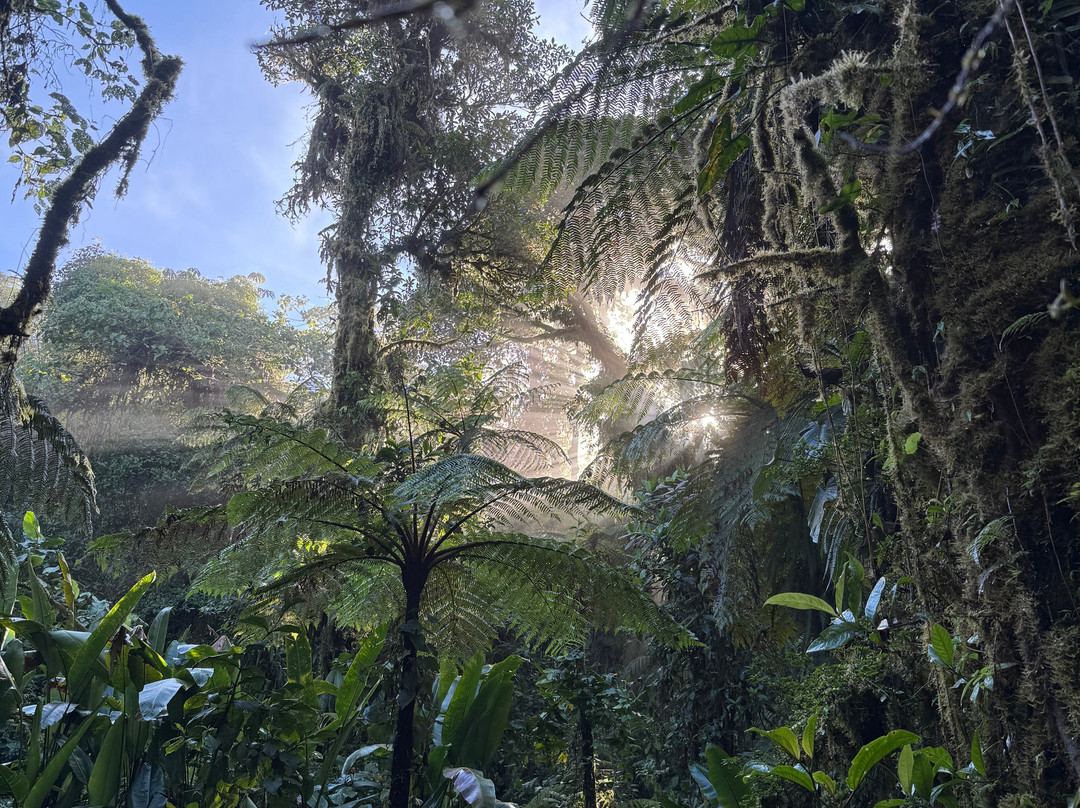 Reserva Bosque Nuboso Santa Elena-蒙特沃德必去景点