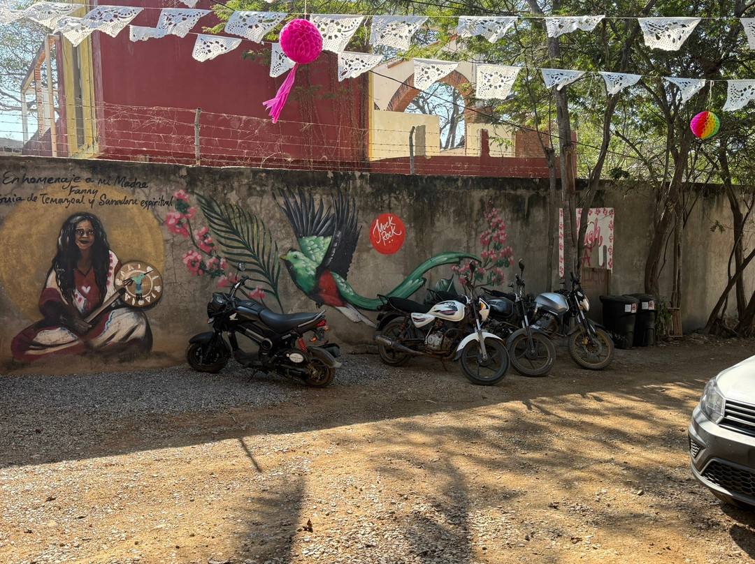 Quetzal café troncones