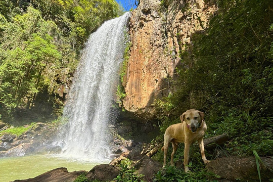 Cascata Garganta dos Polacos-Casca必去景点