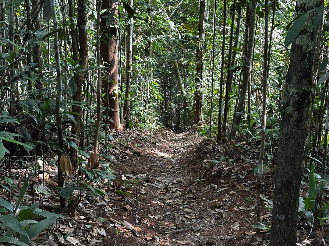 Psychonauta Foundation-伊基托斯必去景点