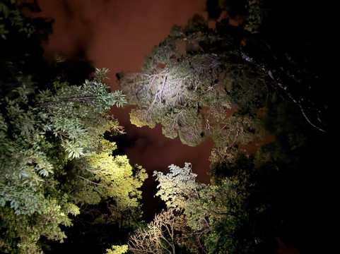 Monteverde Guided Tour-蒙特沃德必去景点