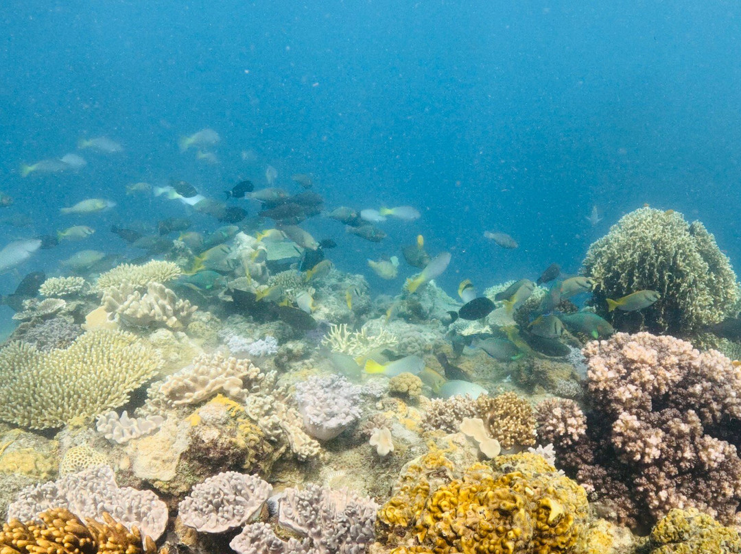 潜水冒险-艾尔利滩必去景点