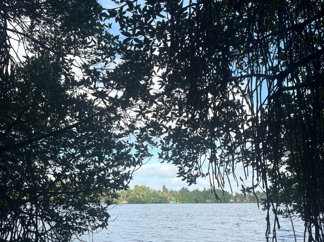 Lucky Boat Safari-班托塔必去景点