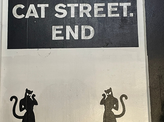 涩谷猫街-涩谷区必去景点