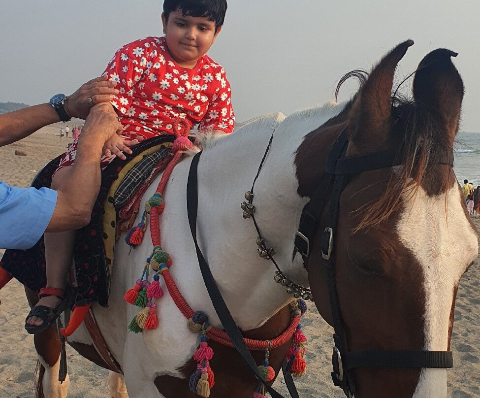 Somnath Beach-Somnath必去景点