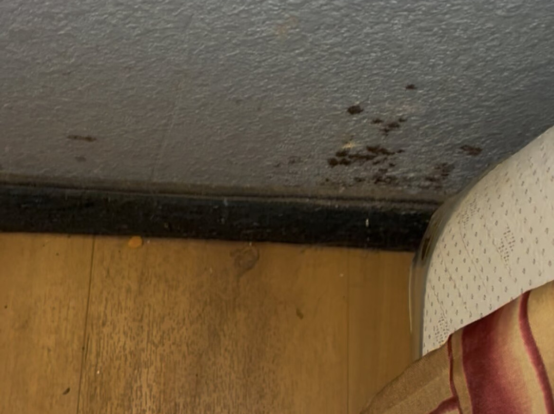 Best Western Palestine Inn主图