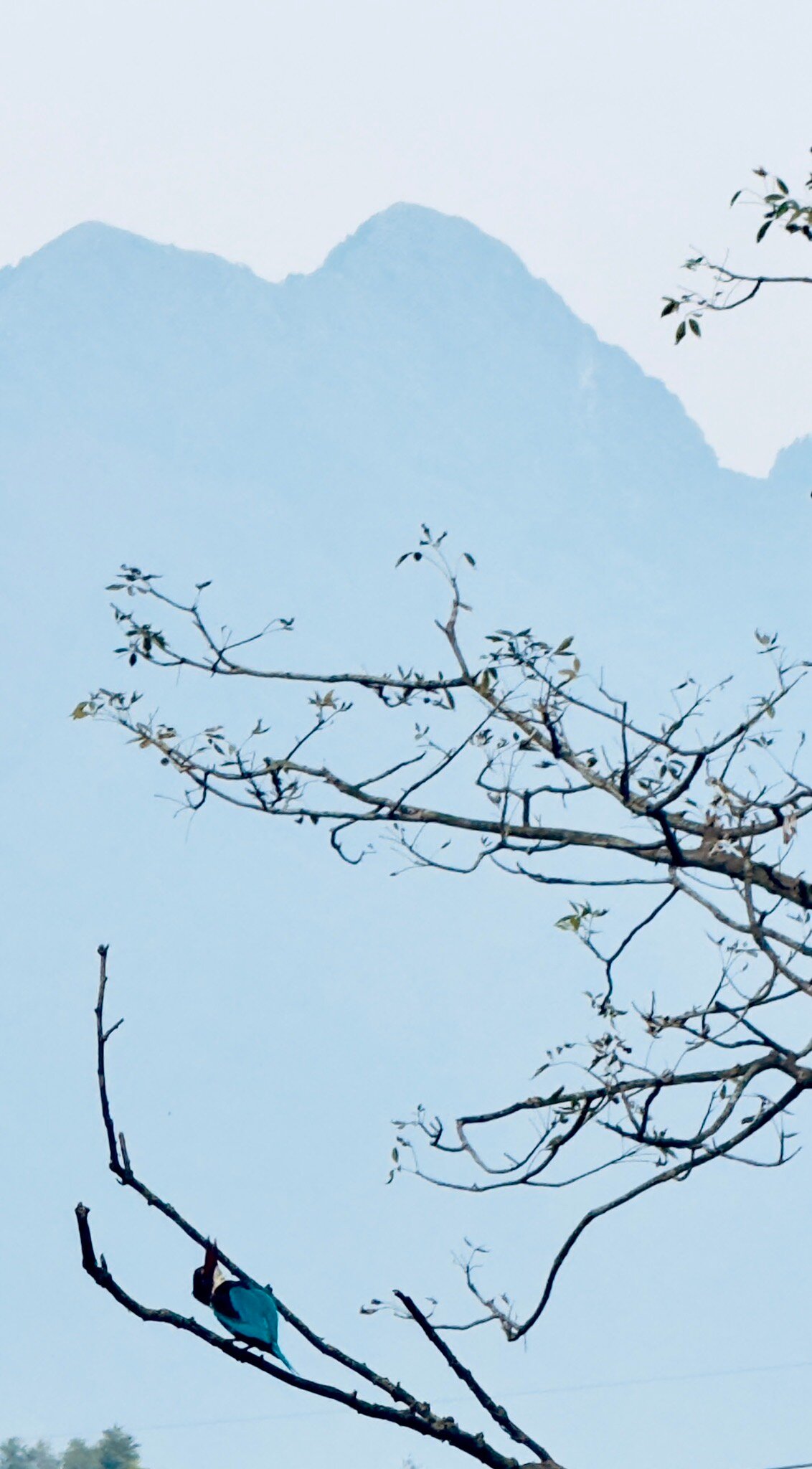 Vivanta Katra Vaishno Devi-官方