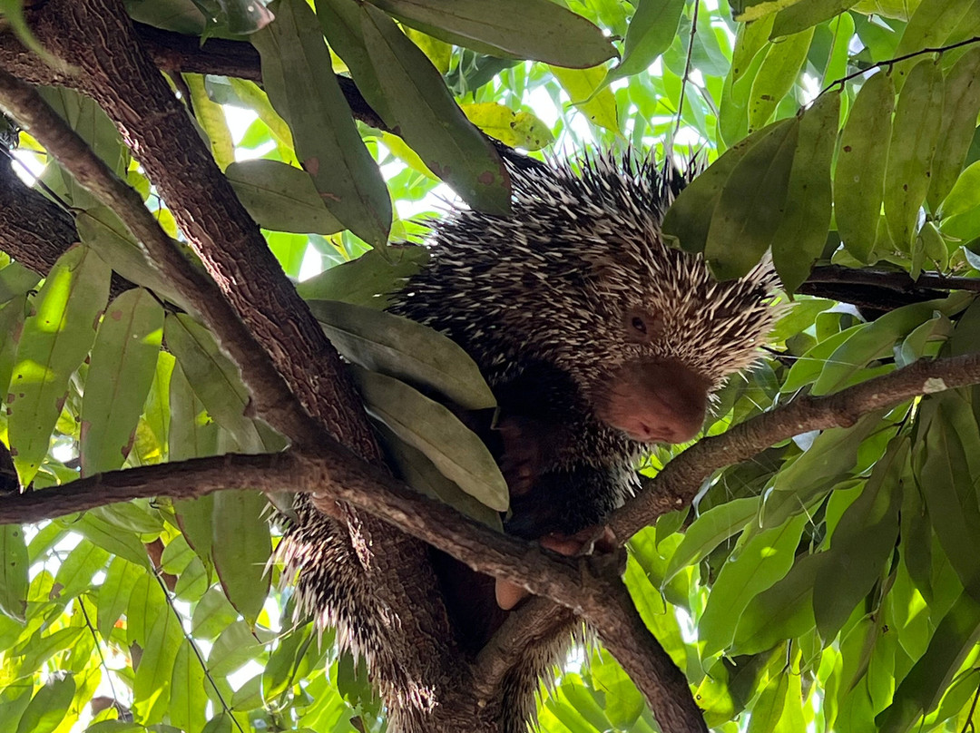 Cunaguaro Travel-Yopal必去景点
