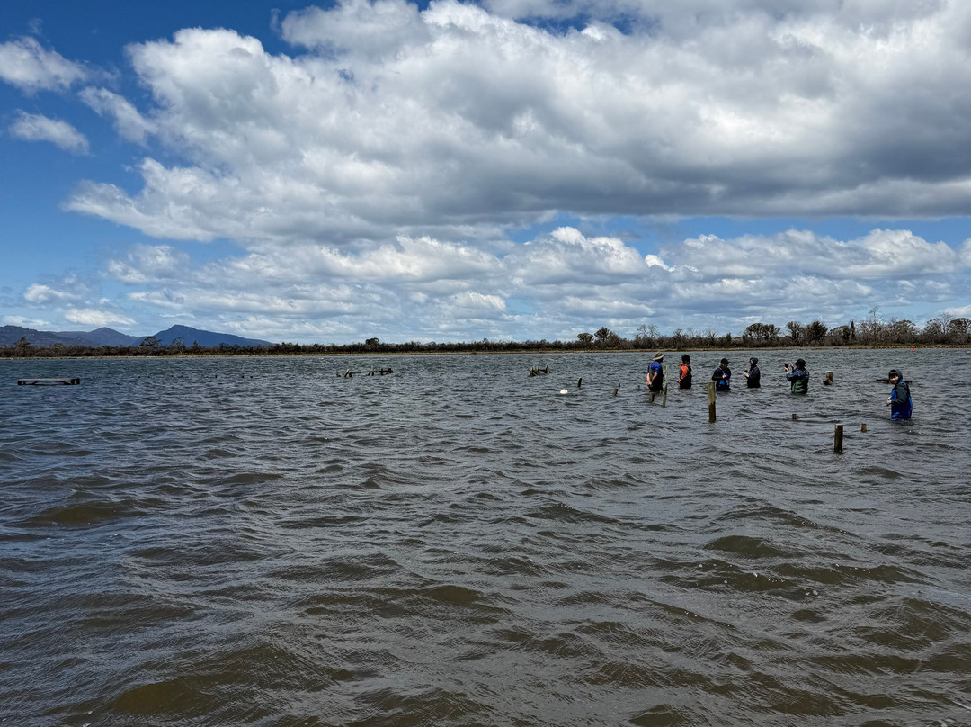 Oyster Bay Tours-科尔斯湾必去景点