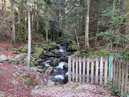 L'Hôtel Enfoncé主图