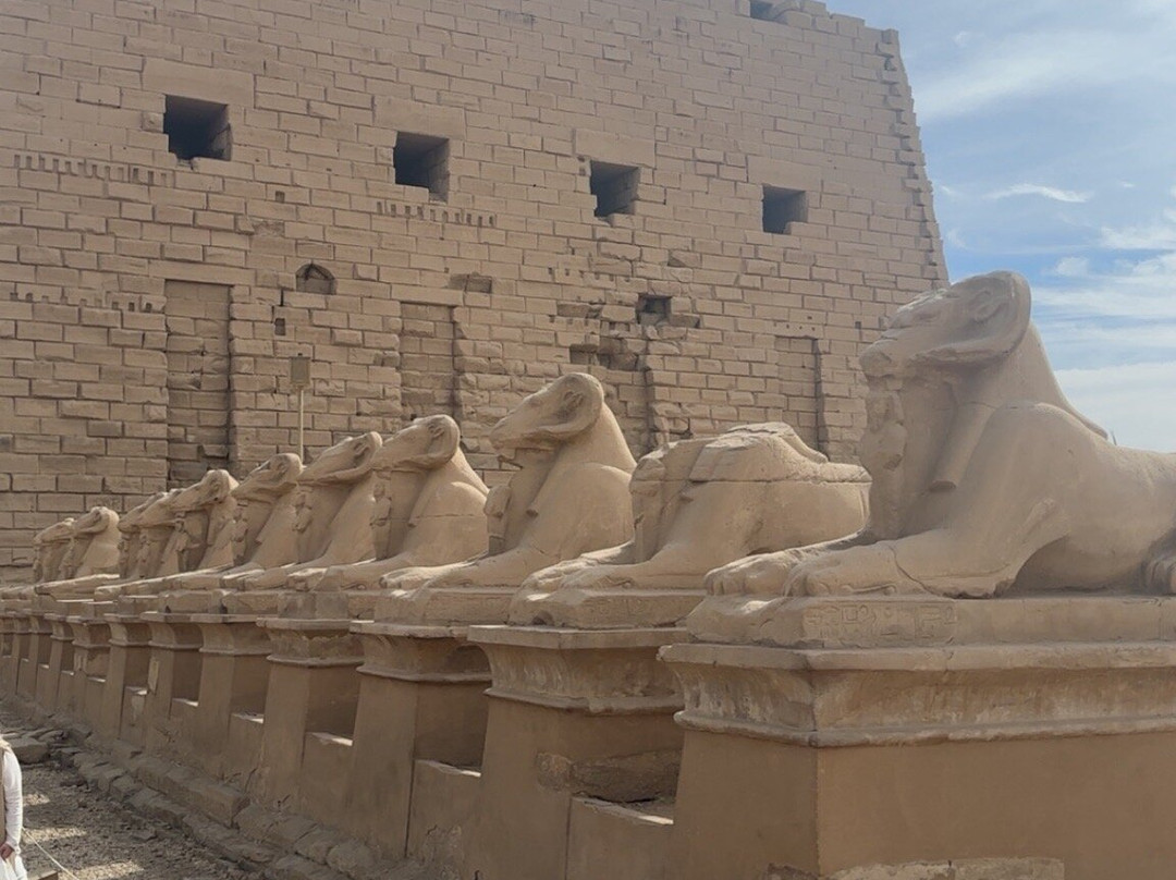 Taxi Transfer Yousif Eldeeb-Safaga必去景点