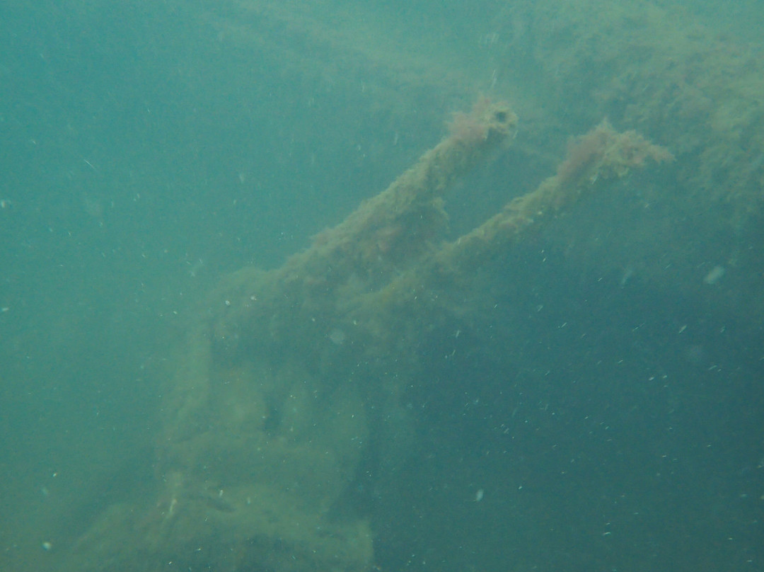 Kraken Diving-Birsay必去景点