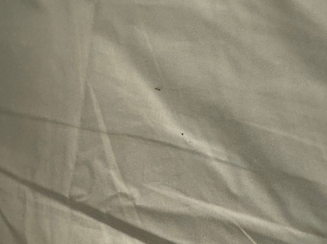 Best Western Fishers Indianapolis Area主图