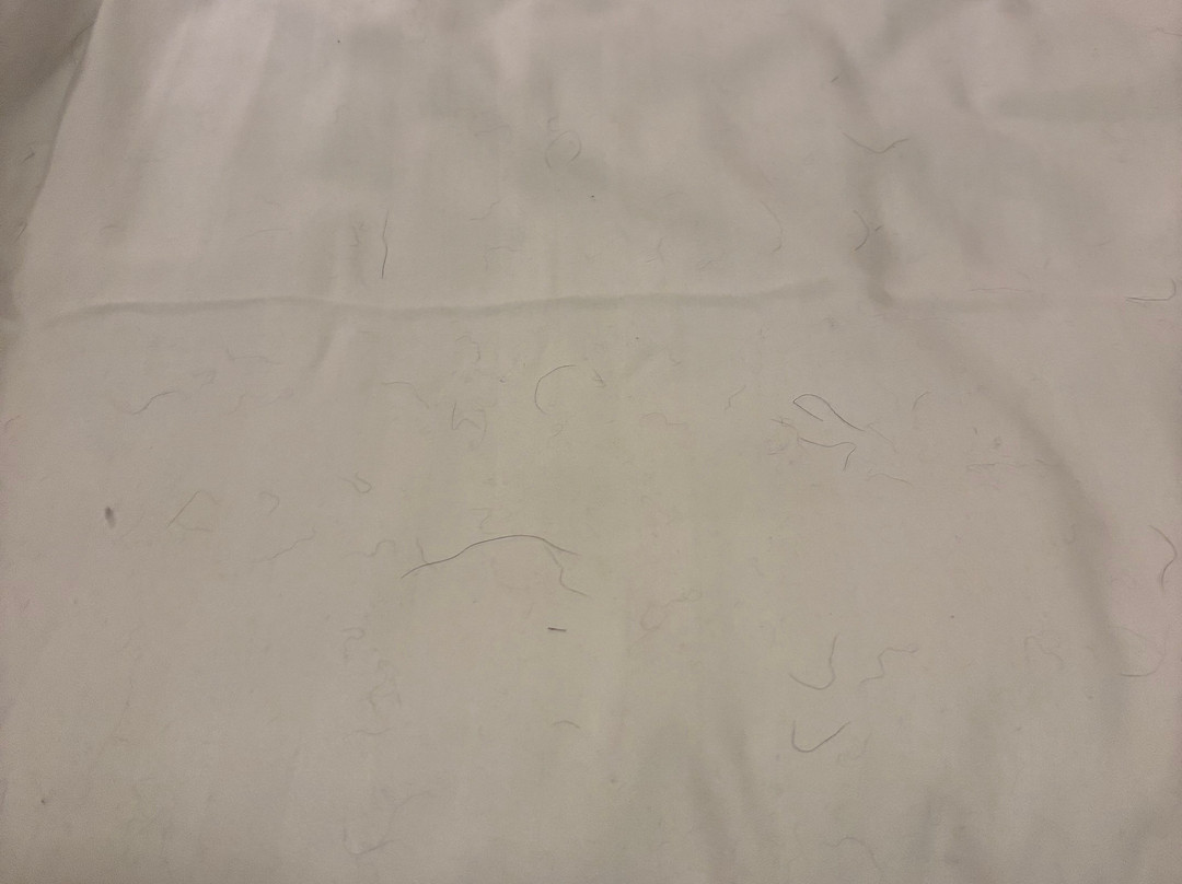 Sure Hotel By Best Western Radmannen主图